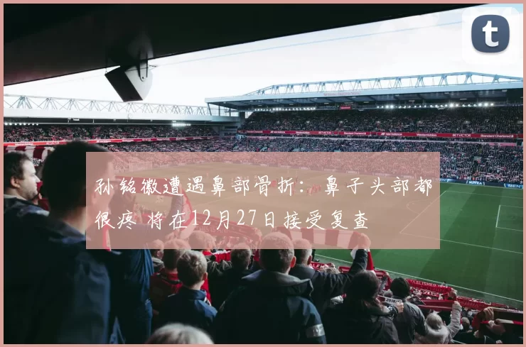 孙铭徽遭遇鼻部骨折：鼻子头部都很疼 将在12月27日接受复查