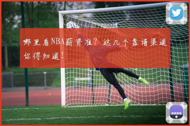 哪里看NBA薪资准？这几个靠谱渠道你得知道！