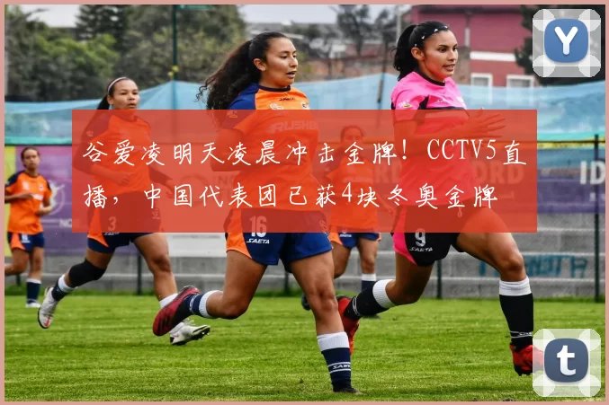 谷爱凌明天凌晨冲击金牌！CCTV5直播，中国代表团已获4块冬奥金牌