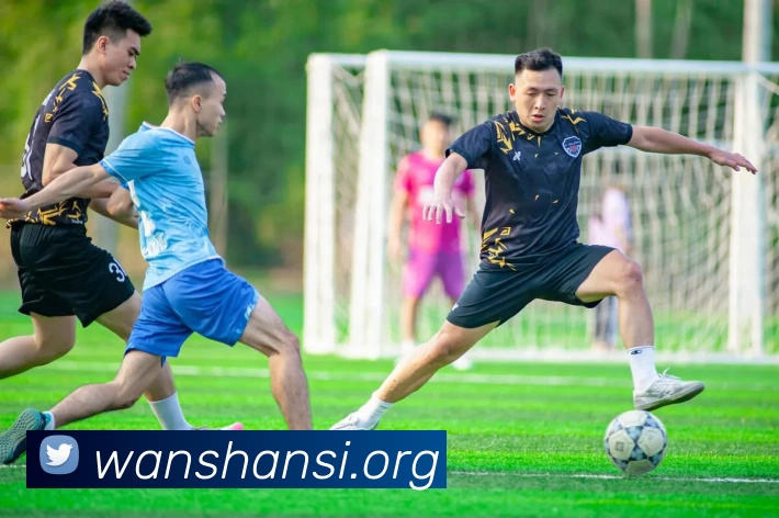 半岛网页版·网站入口 - 半岛online(中国)发展历程